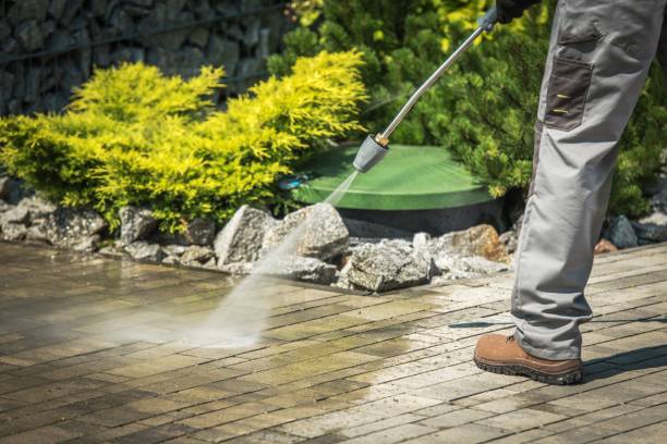  Argyle, TX Pressure Washing Pros